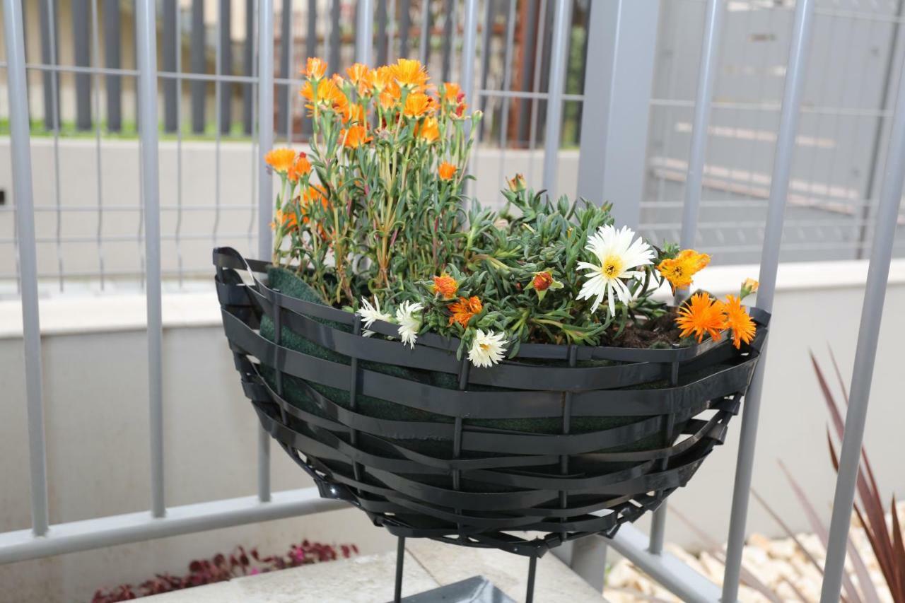 Db Apartments - Dabasso Mestre Luaran gambar